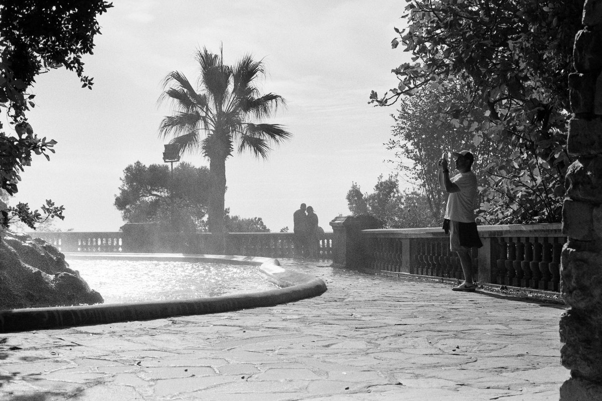 mans-best-friend-150821